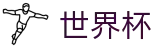 国际足联世界杯安卓买球站 - 世界杯买球福利活动及首充送礼